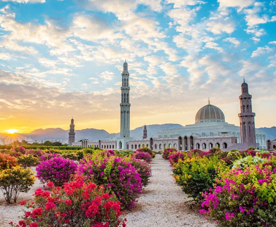 Best Oman Tour Package 